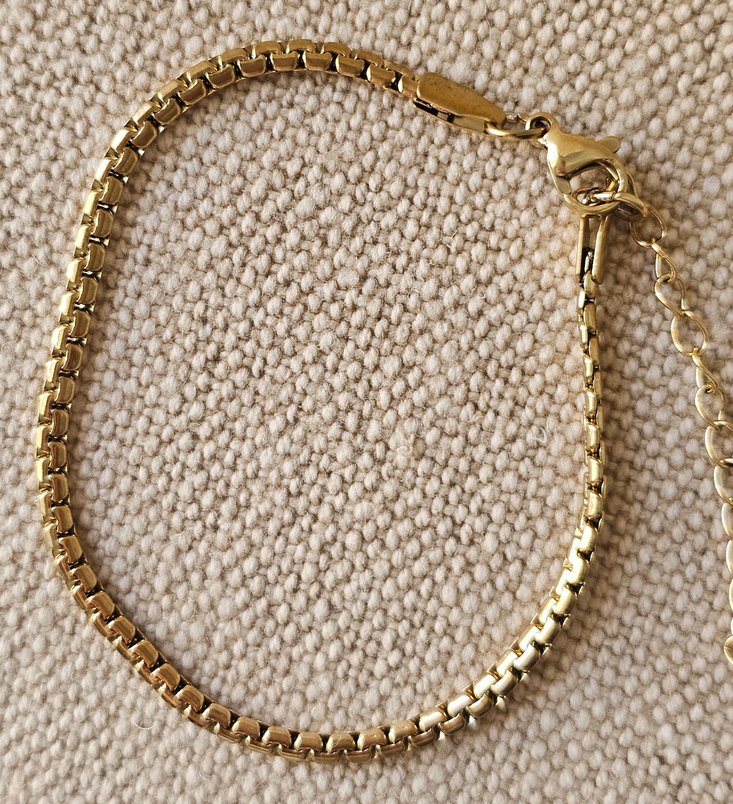 Sienna Snake Chain Bracelet