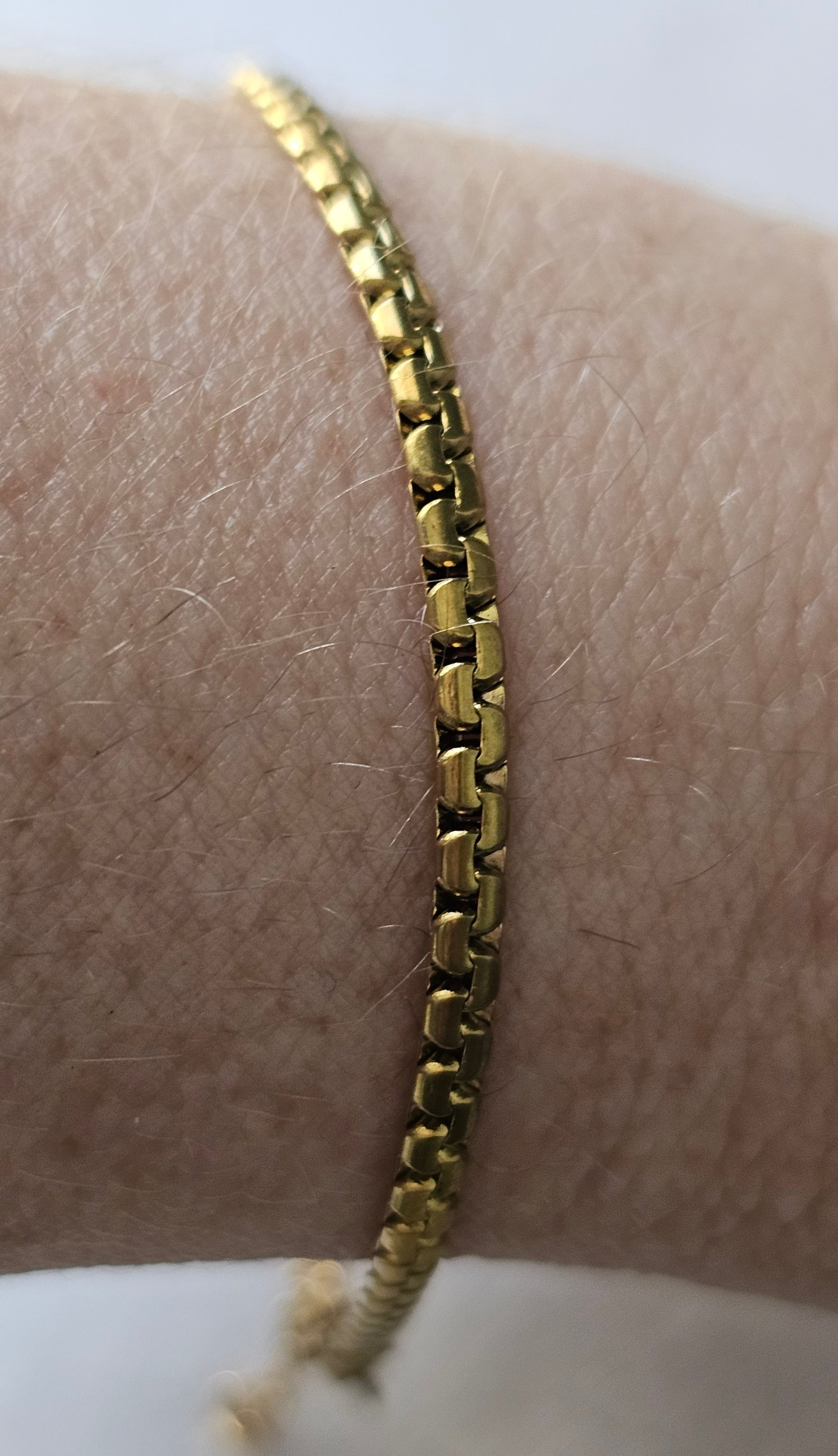 Sienna Snake Chain Bracelet
