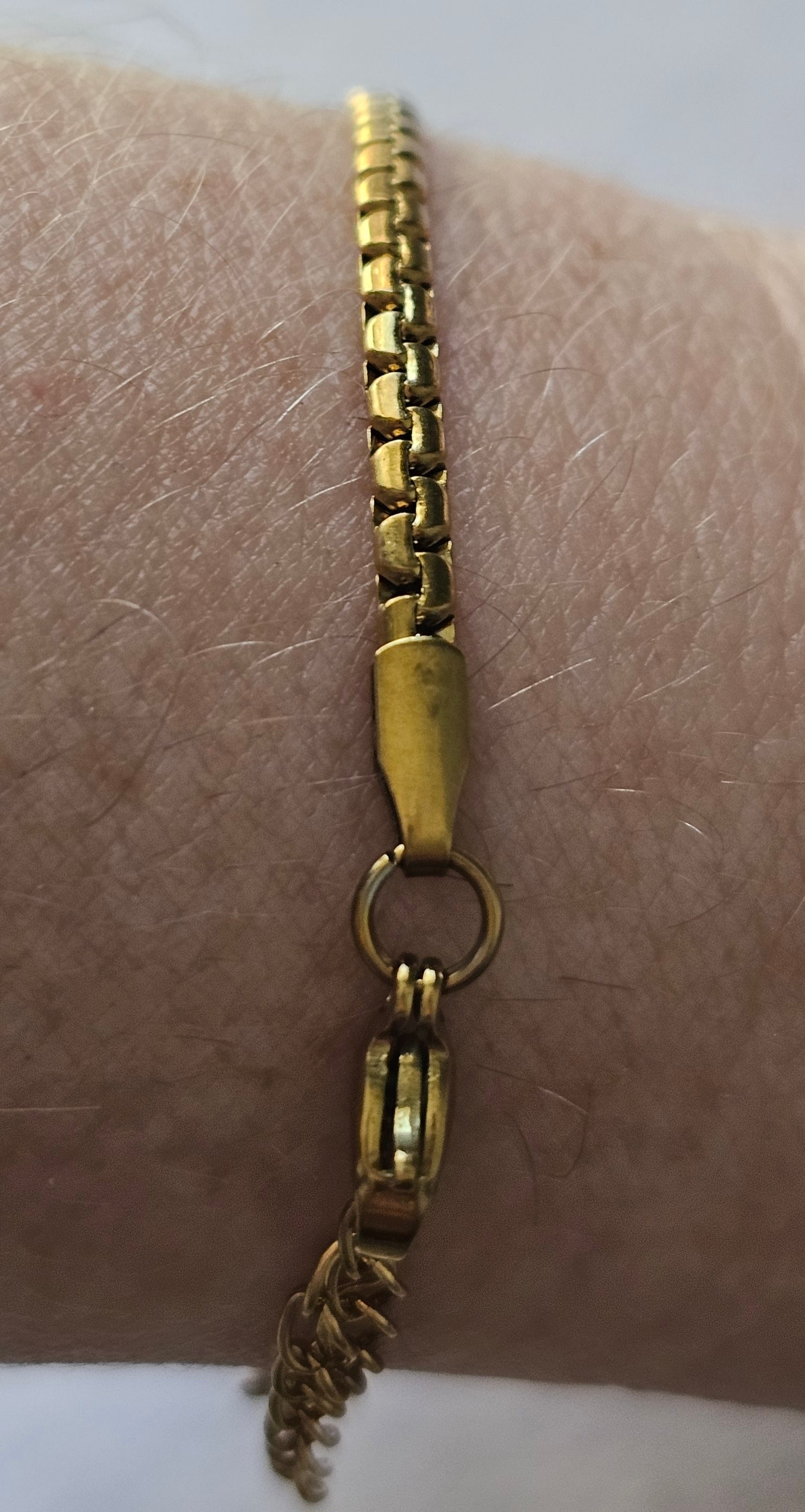 Sienna Snake Chain Bracelet